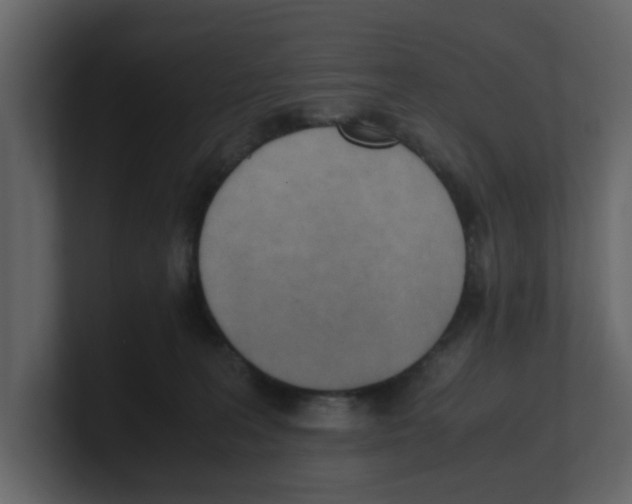 X0000100480227200807111108