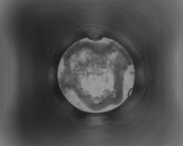 X0000100480228200807111108