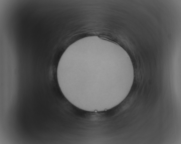 X0000100480229200807111108