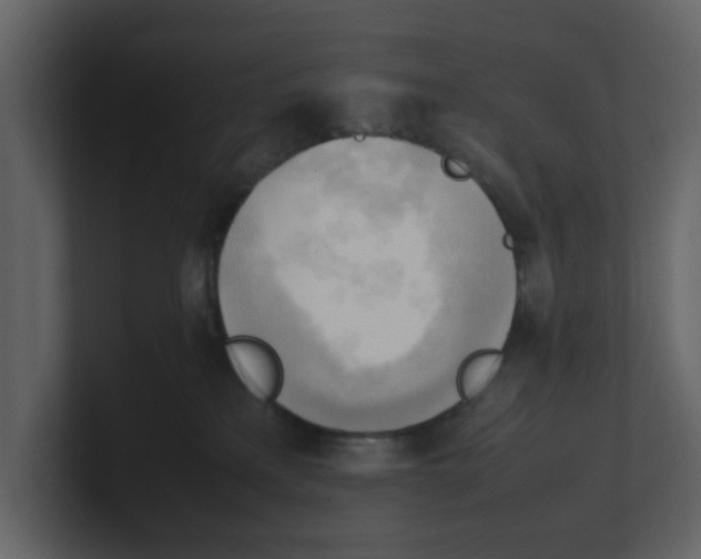 X0000100480233200807111108