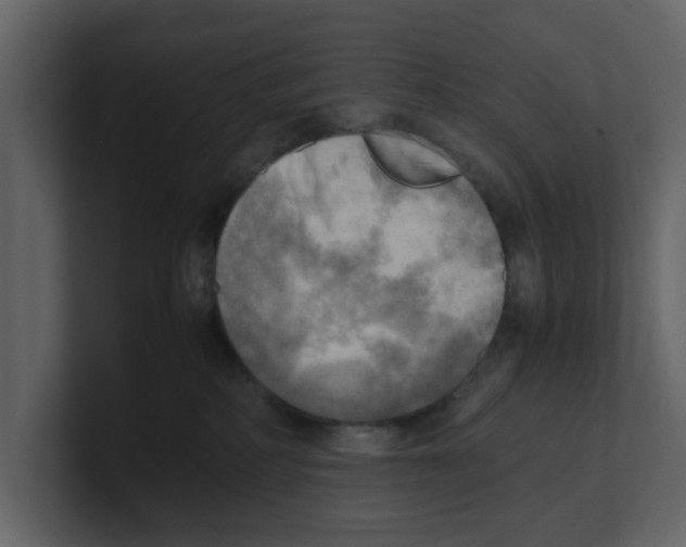 X0000100480234200807111108