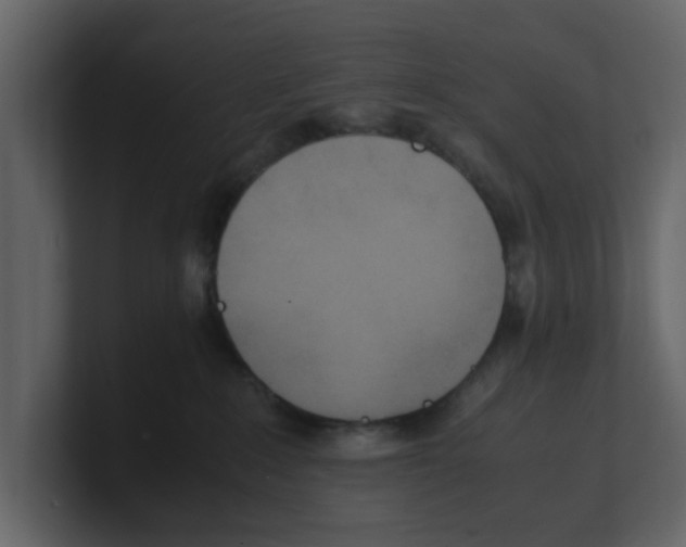 X0000100480235200807111108