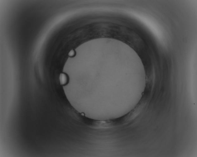 X0000100480239200807111108