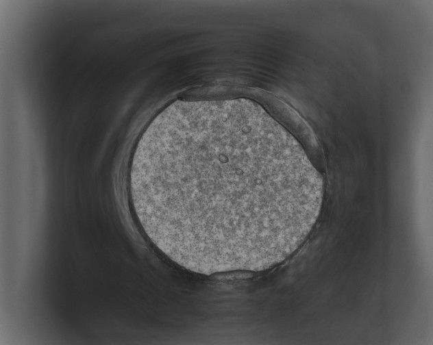 X0000100480241200807111107