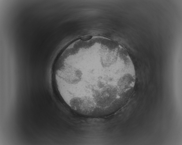 X0000100480242200807111107