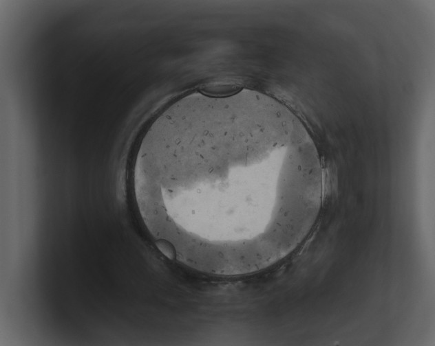X0000100480243200807111107