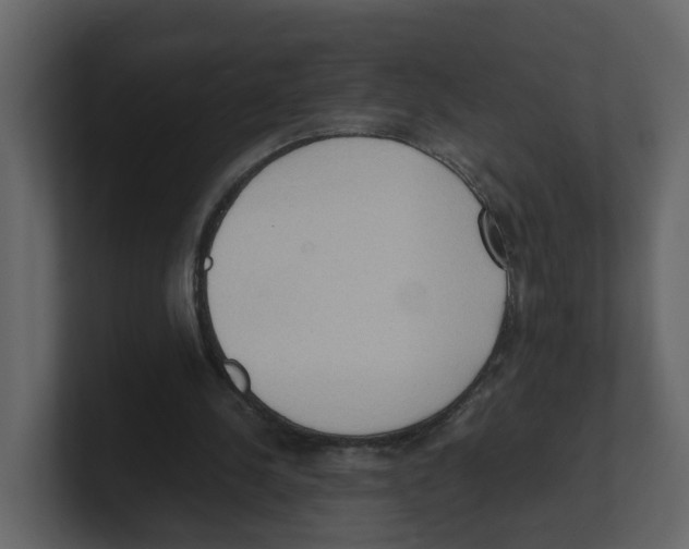 X0000100480244200807111107