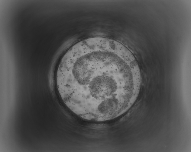 X0000100480245200807111107