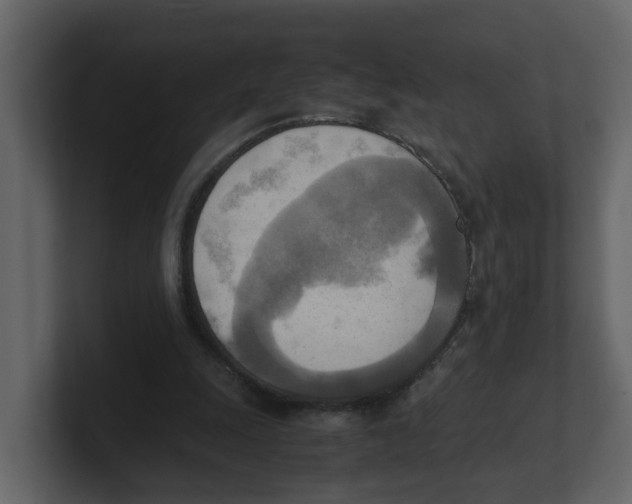 X0000100480247200807111107