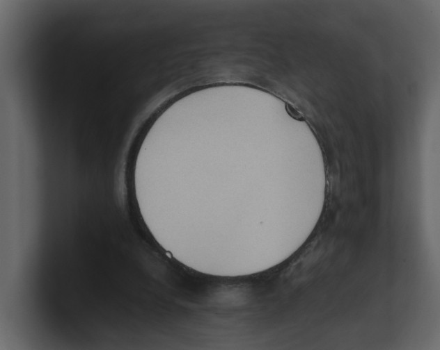 X0000100480248200807111107