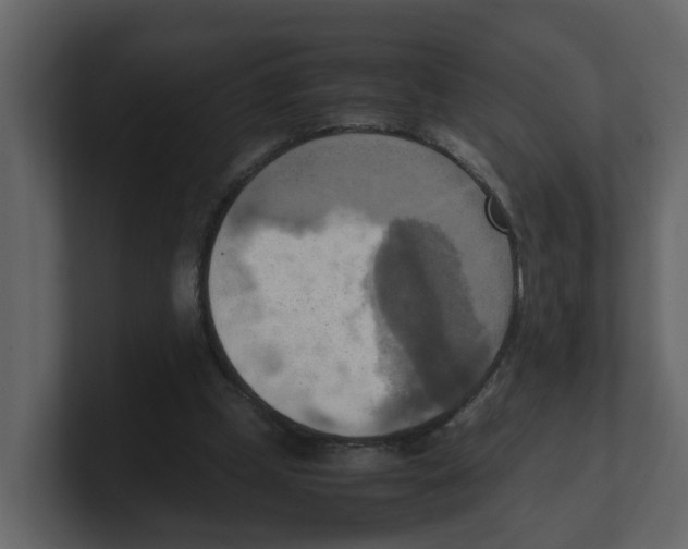 X0000100480249200807111107