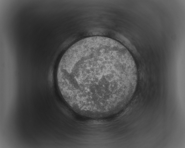 X0000100480250200807111107