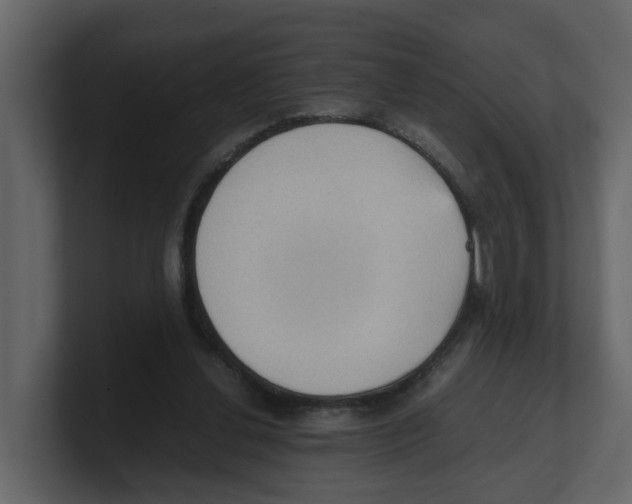 X0000100480252200807111107