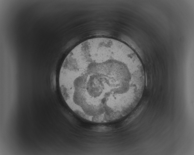 X0000100480253200807111107