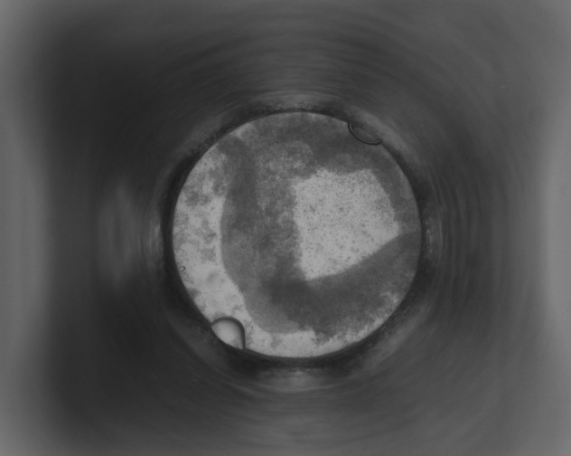 X0000100480254200807111107