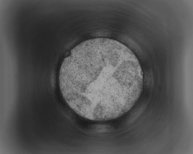 X0000100480255200807111107