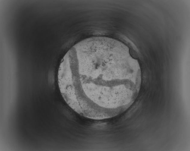 X0000100480257200807111107