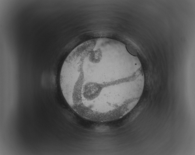 X0000100480258200807111107