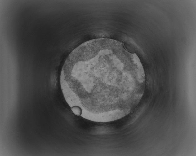 X0000100480259200807111107