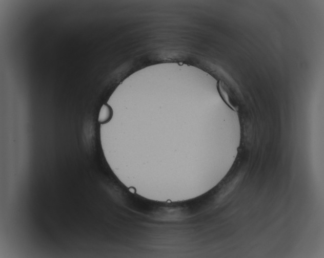 X0000100480260200807111107