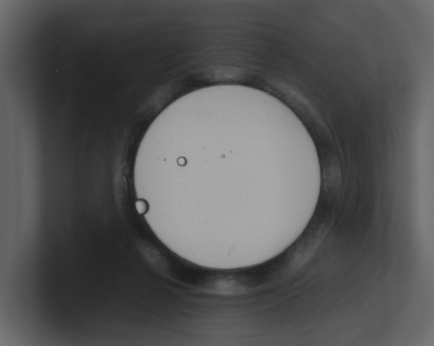 X0000100480264200807111107