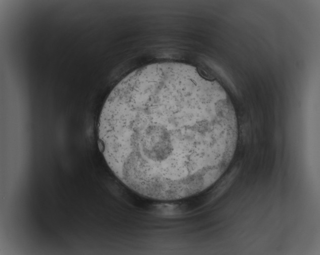 X0000100480265200807111107