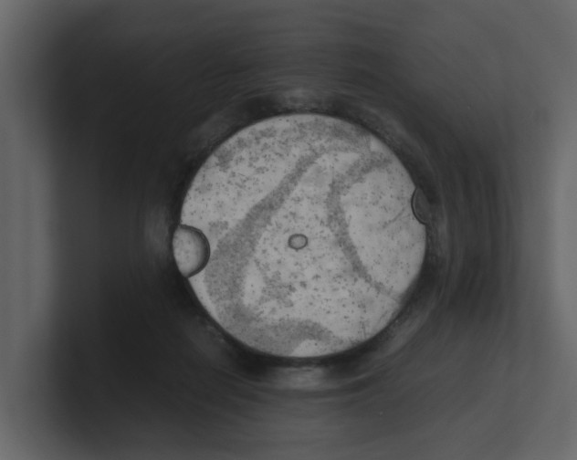 X0000100480266200807111107