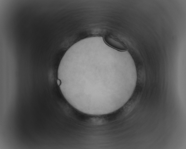 X0000100480272200807111108