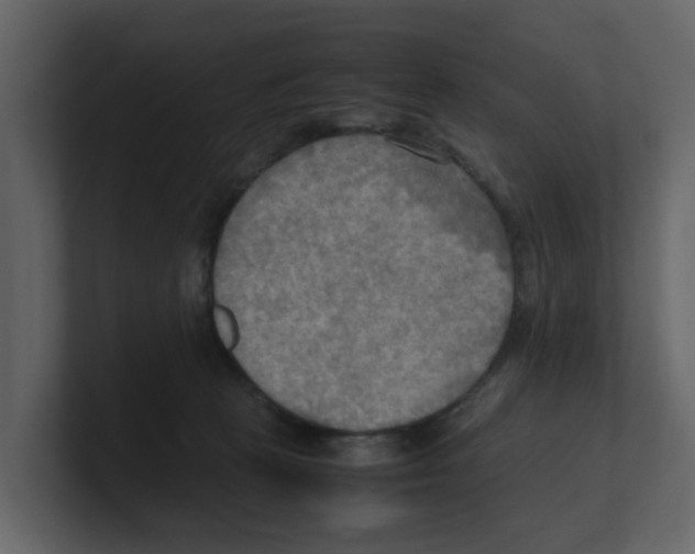 X0000100480273200807111108