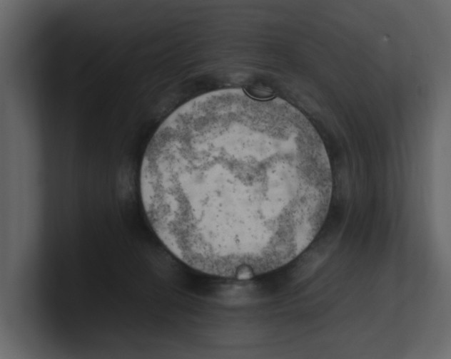 X0000100480274200807111108