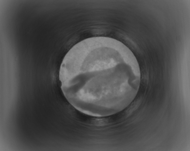 X0000100480277200807111108