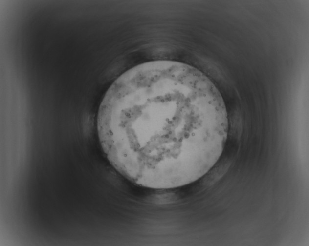 X0000100480278200807111108