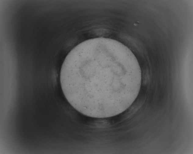 X0000100480279200807111108