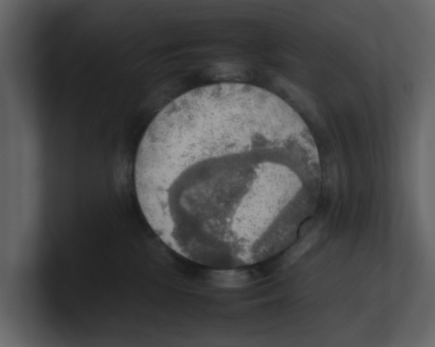 X0000100480281200807111108