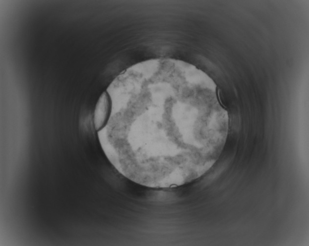 X0000100480286200807111108