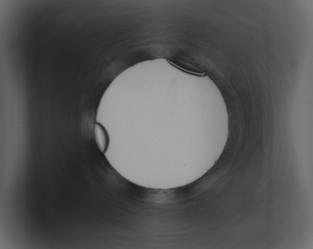 X0000100480288200807111108