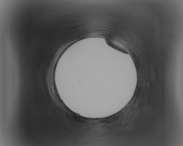 X0000100480289200807111107