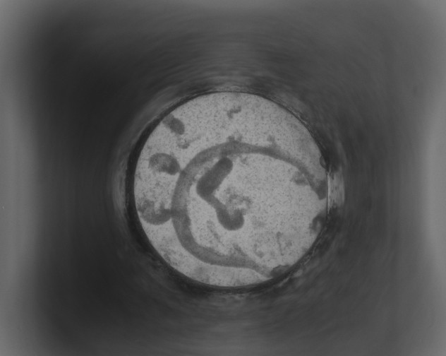 X0000100480291200807111107