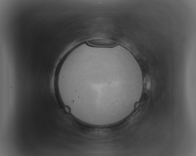 X0000100480292200807111107