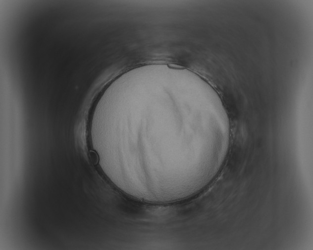 X0000100480293200807111107