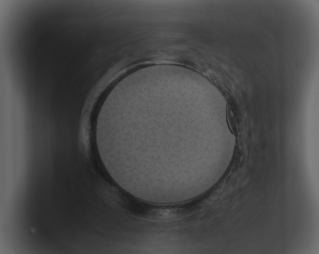 X0000100480295200807111107