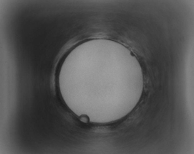 X0000100480296200807111107