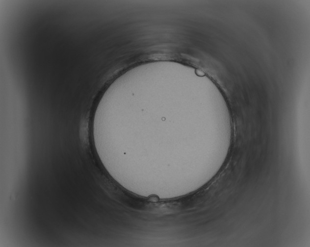 X0000100480297200807111107