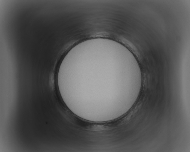 X0000100480298200807111107