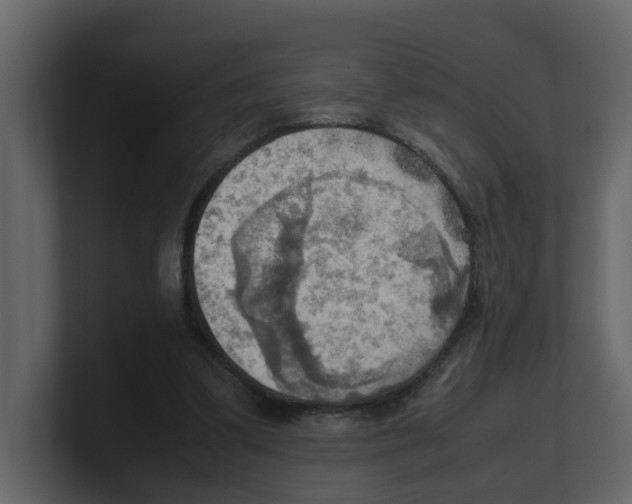 X0000100480299200807111107