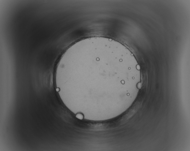 X0000100480301200807111107