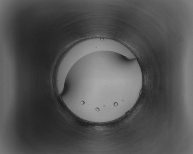 X0000100480302200807111107