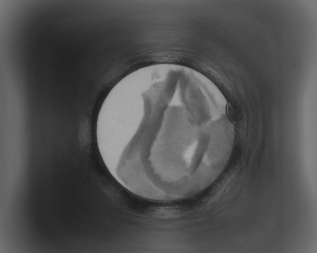 X0000100480303200807111107