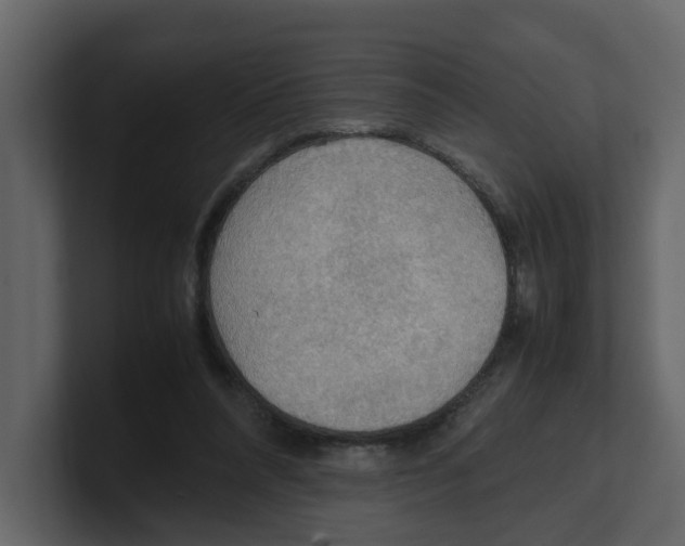 X0000100480304200807111107