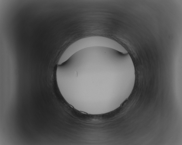 X0000100480308200807111107